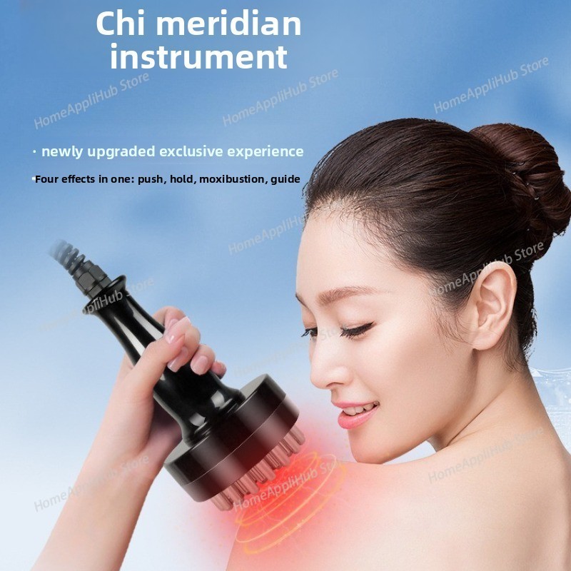 Vitality Meridian Instrument – - đánh giá và giá Spa Wellness Usa